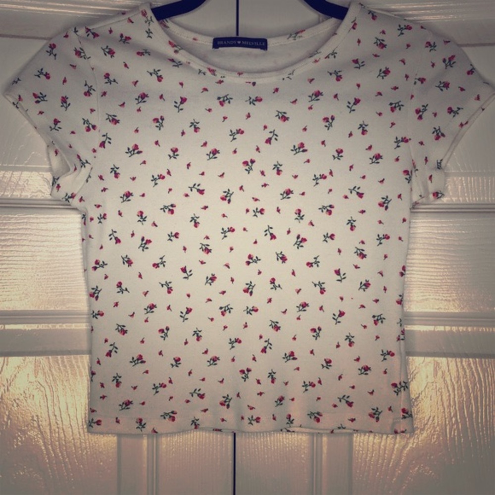 COPY - Rare Brandy Melville Shirt